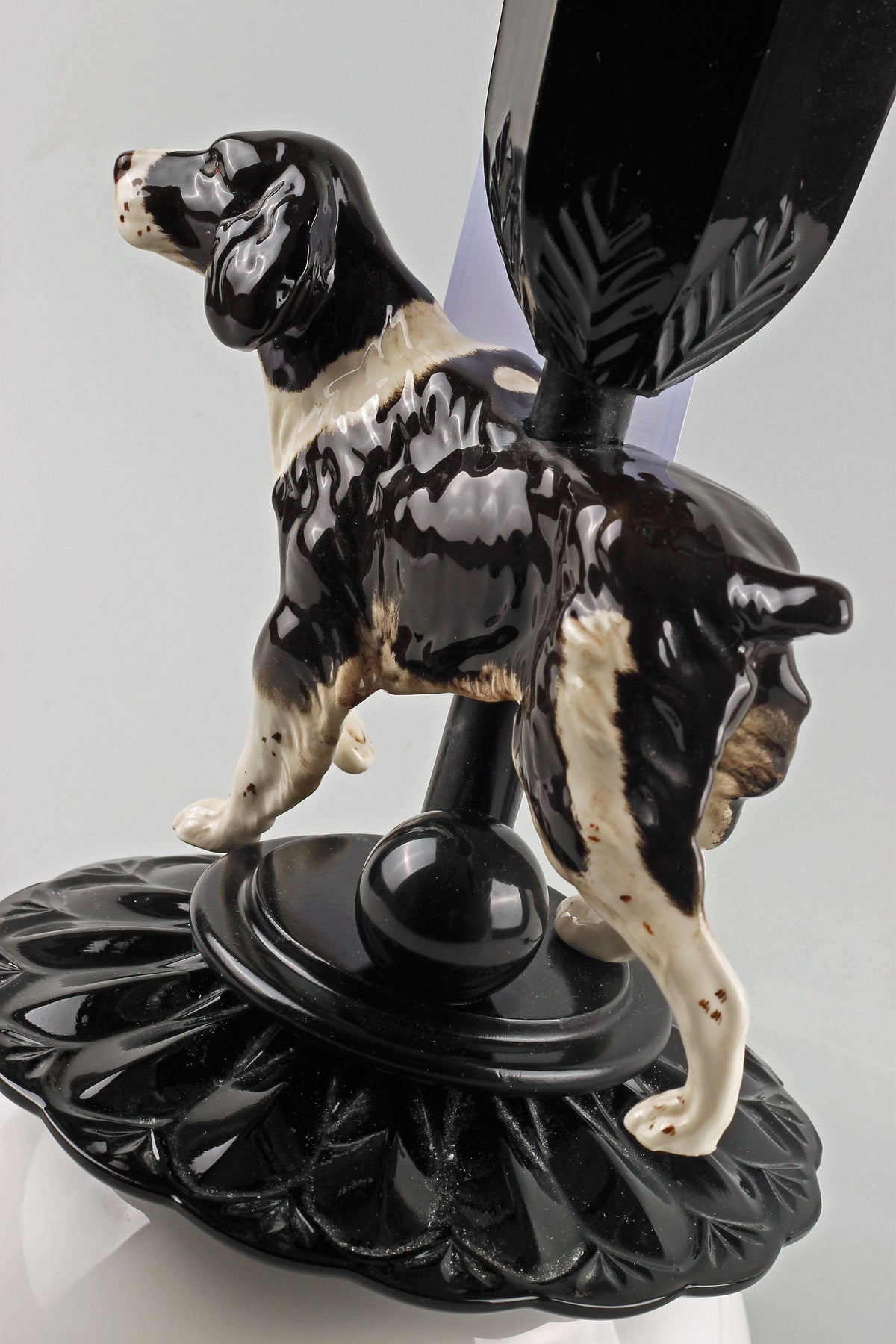 Springer Spaniel Theo
