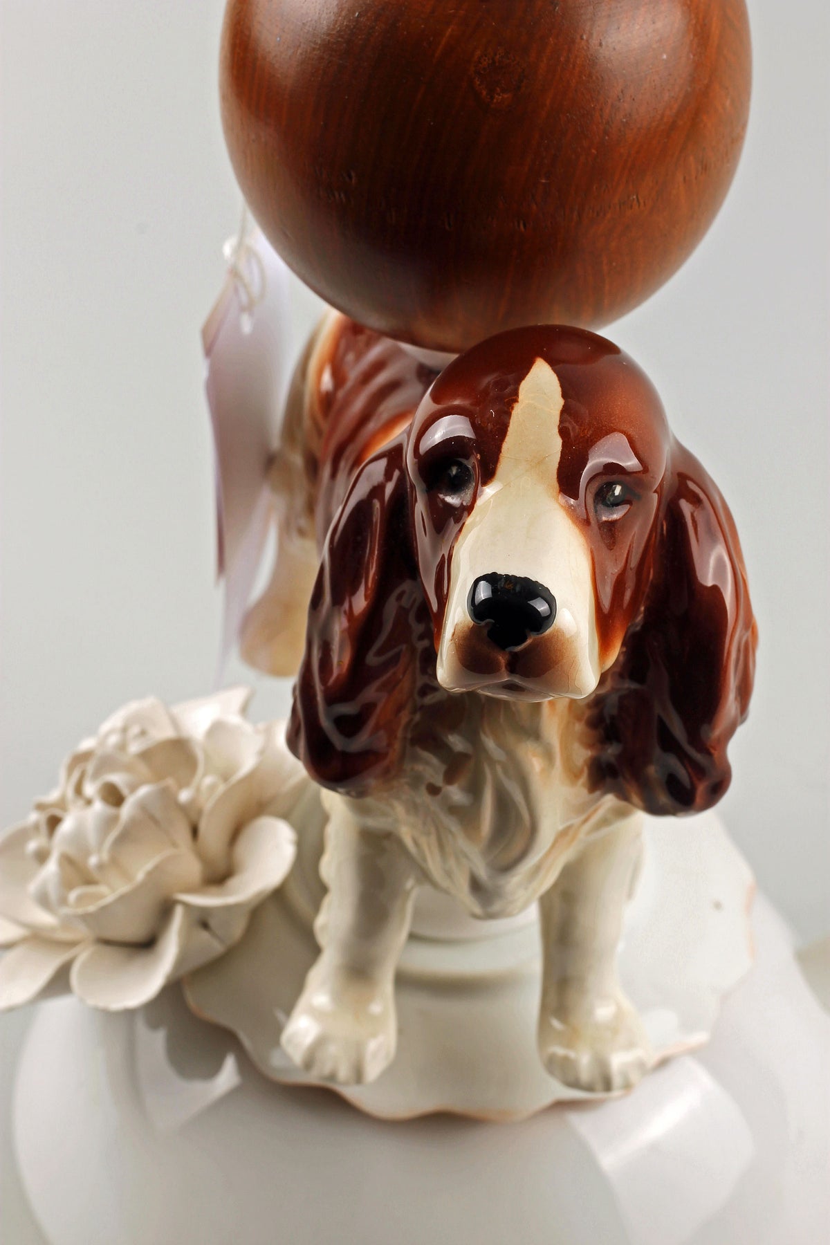 Springer Spaniel Buster