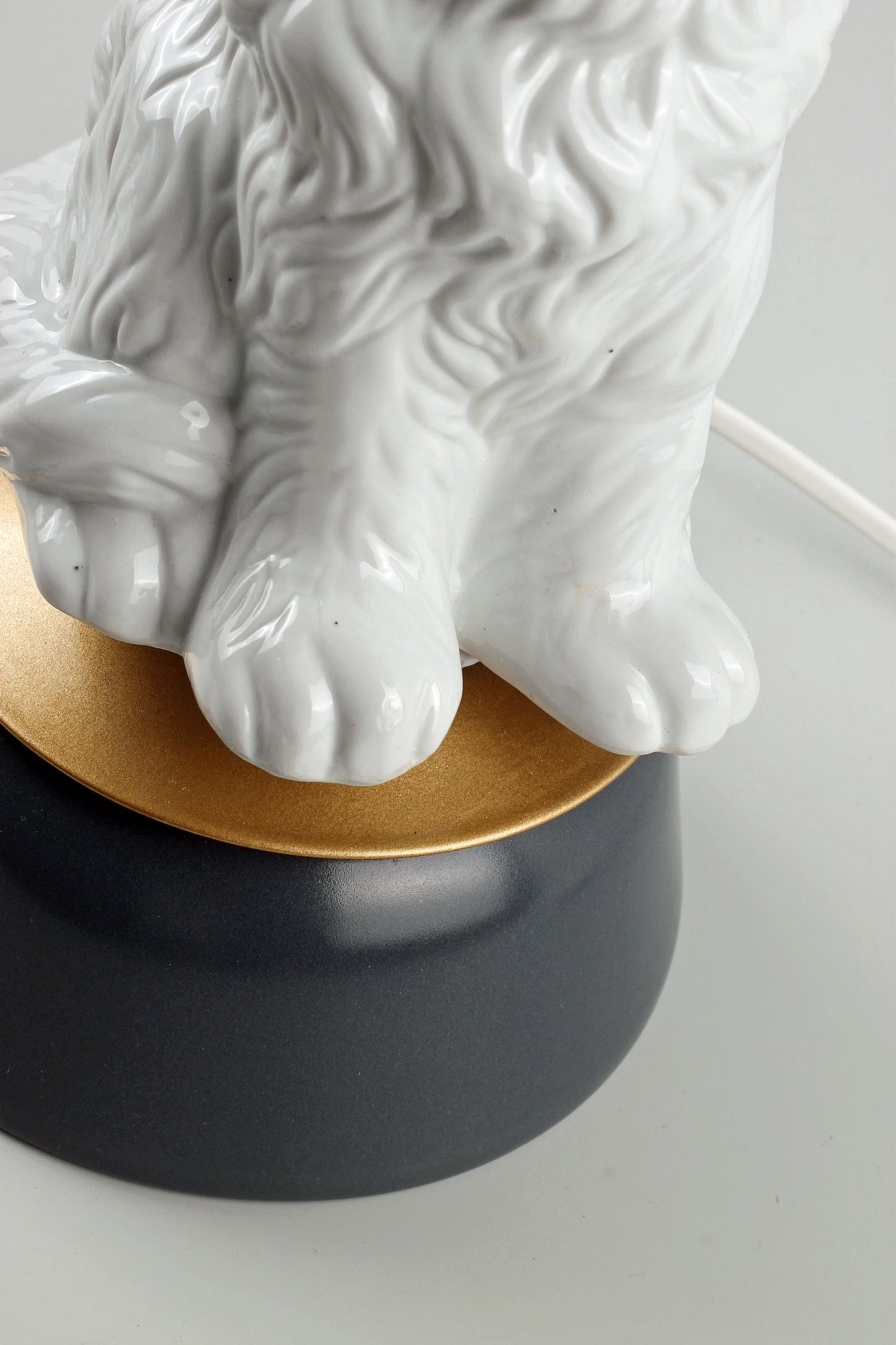 Paws