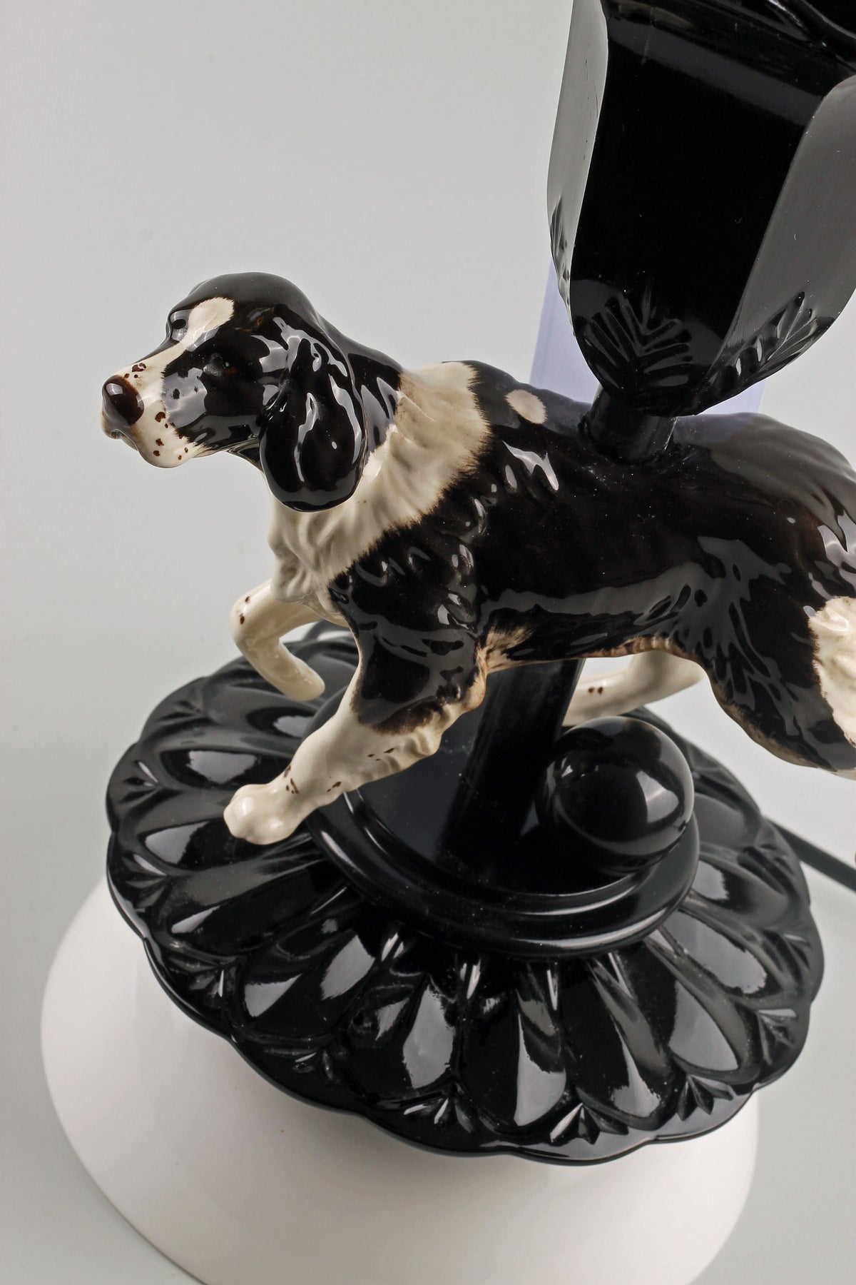 Springer Spaniel Theo
