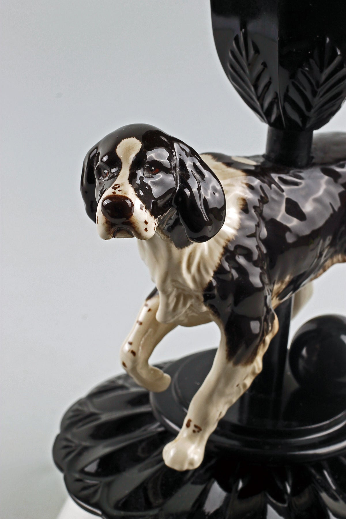 Springer Spaniel Theo