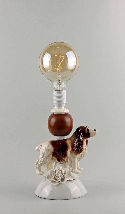 Springer Spaniel Buster