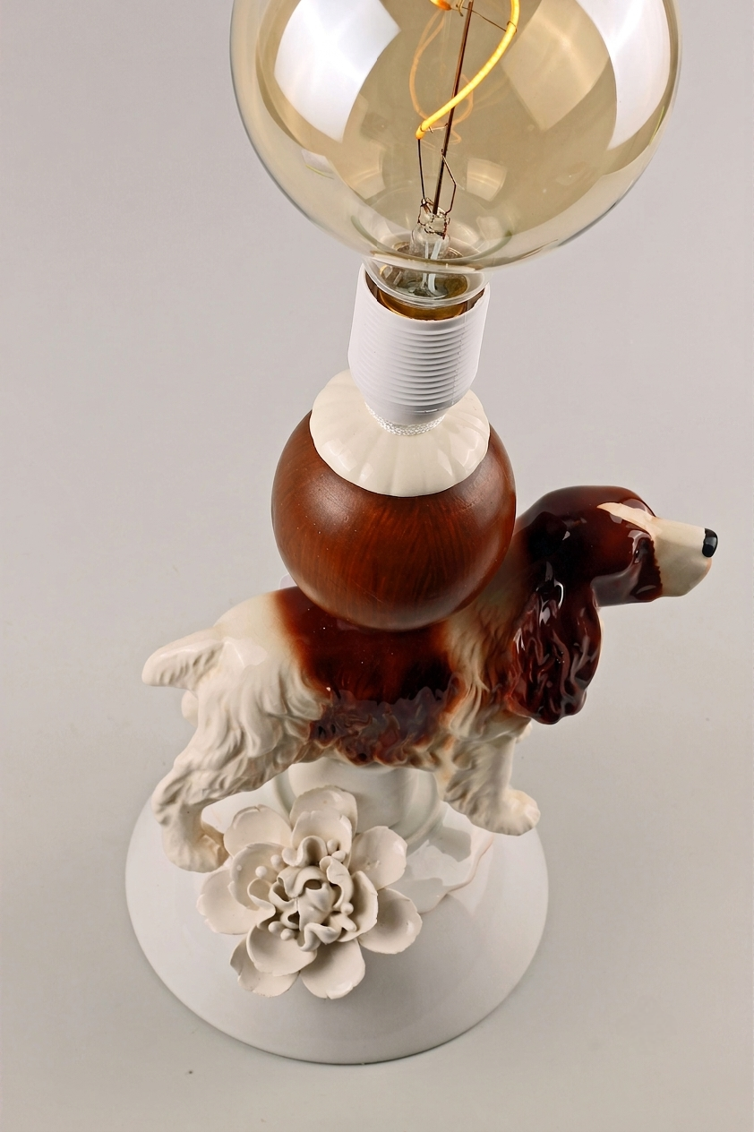 Springer Spaniel Buster