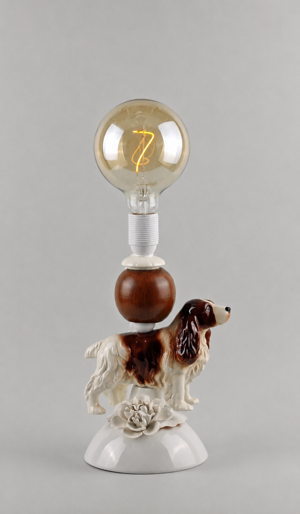 Springer Spaniel Buster