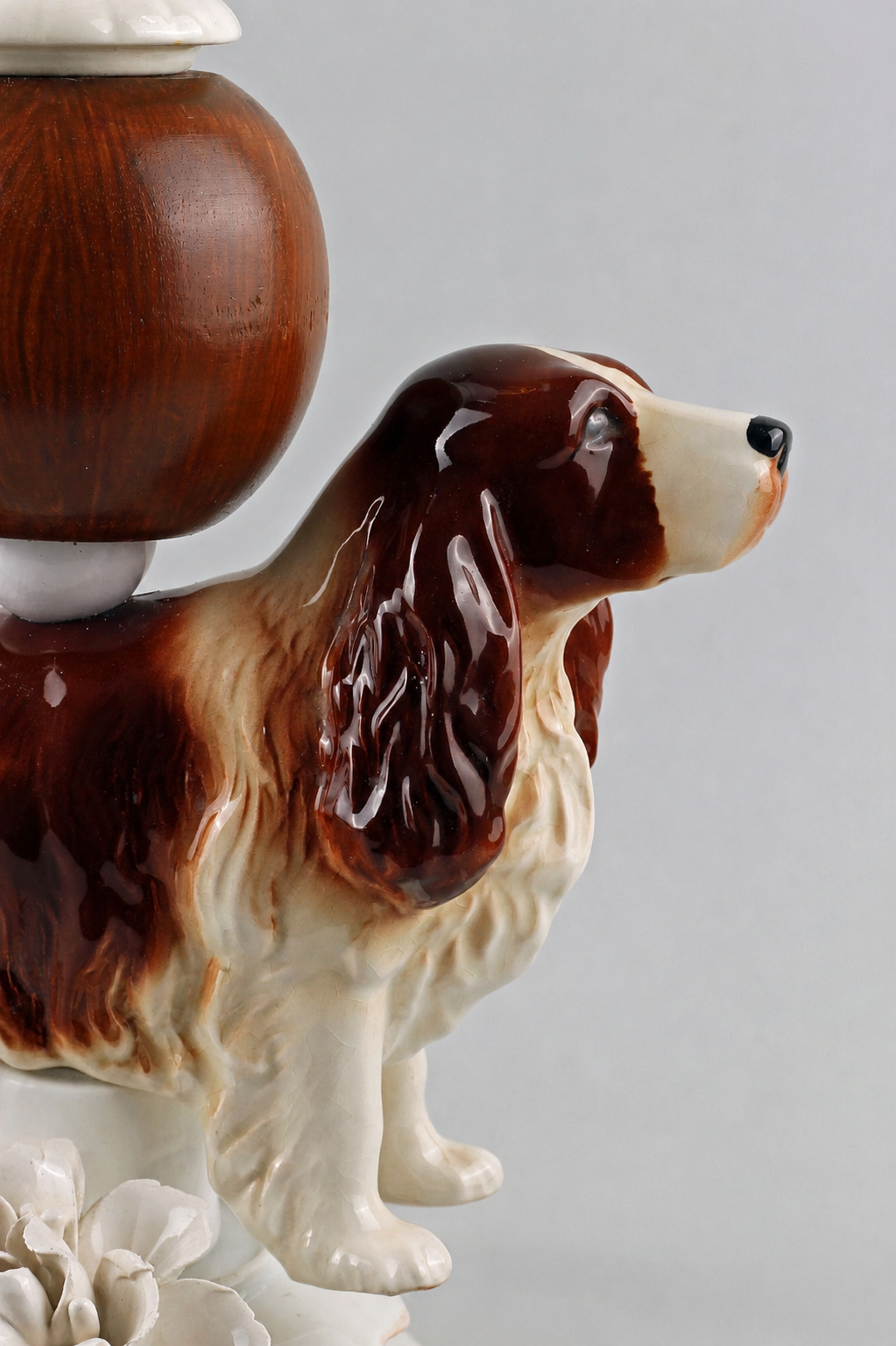 Springer Spaniel Buster